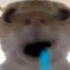 ͷ