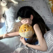 ͷ��