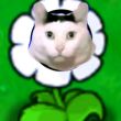 ͷ��