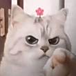 ͷ