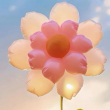 ͷ��