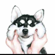 ͷ��