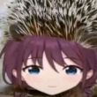 ͷ��