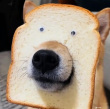 ͷ��