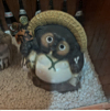 ͷ
