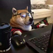 ͷ