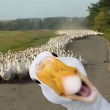 ͷ��