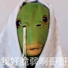 ͷ��