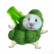 ͷ��