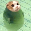 ͷ��