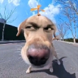 ͷ��