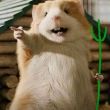 ͷ��