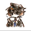 ͷ��