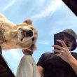 ͷ��