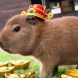 ͷ��