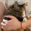 ͷ��