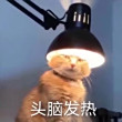 ͷ