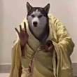 ͷ