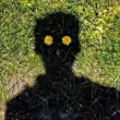 ͷ