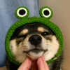ͷ��
