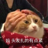 ͷ��