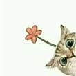 ͷ