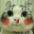 ͷ��