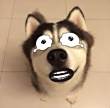 ͷ