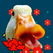 ͷ