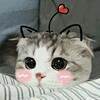 ͷ