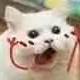 ͷ