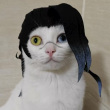 ͷ��