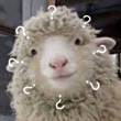 ͷ