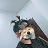 ͷ