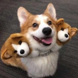 ͷ��