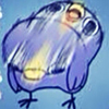 ͷ