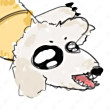 ͷ