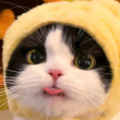 ͷ��