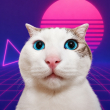ͷ��
