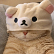 ͷ