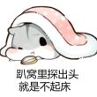 ͷ��