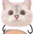 ͷ