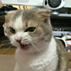 ͷ