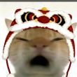 ͷ��