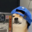 ͷ��