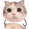 ͷ��