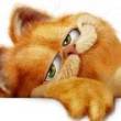ͷ��