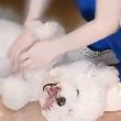 ͷ��