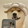 ͷ��