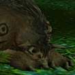 ͷ